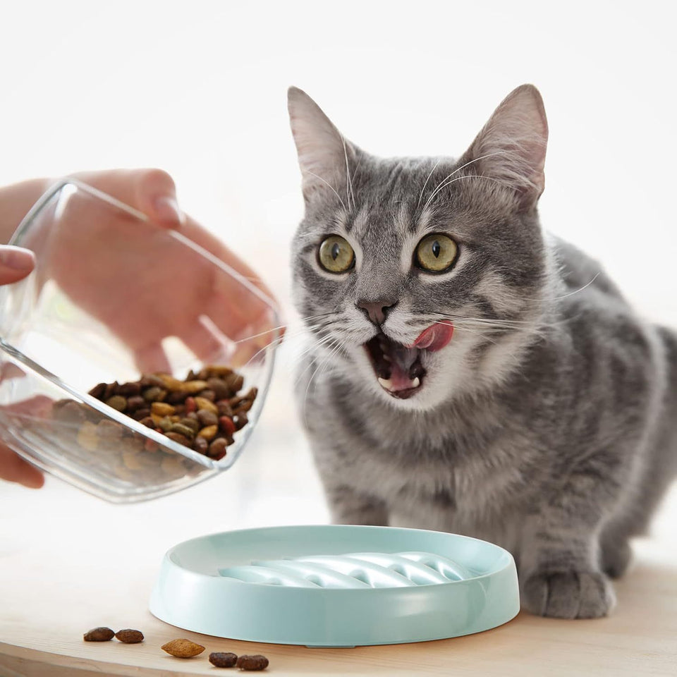 Anti-Gulping Cat & Dog Bowl – Slow Eating Made Fun