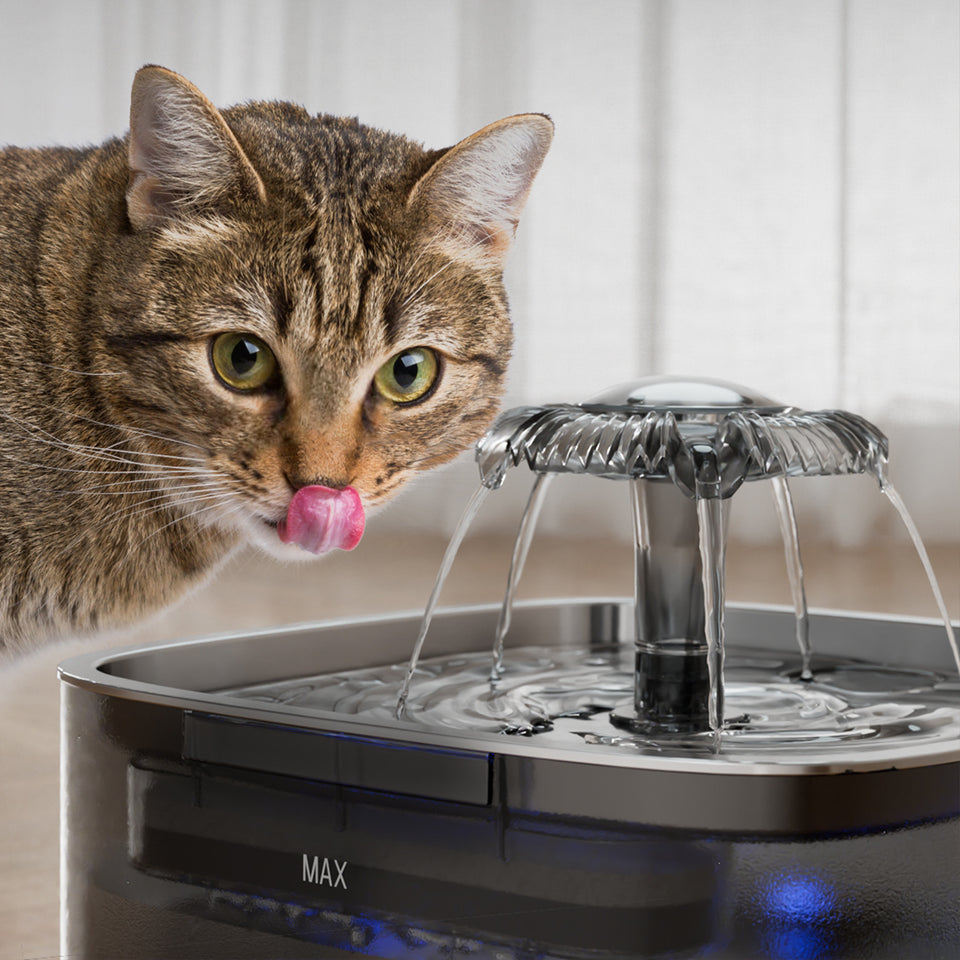 Automatic Pet Water Feeder – Keep Pets Hydrated & Happy
