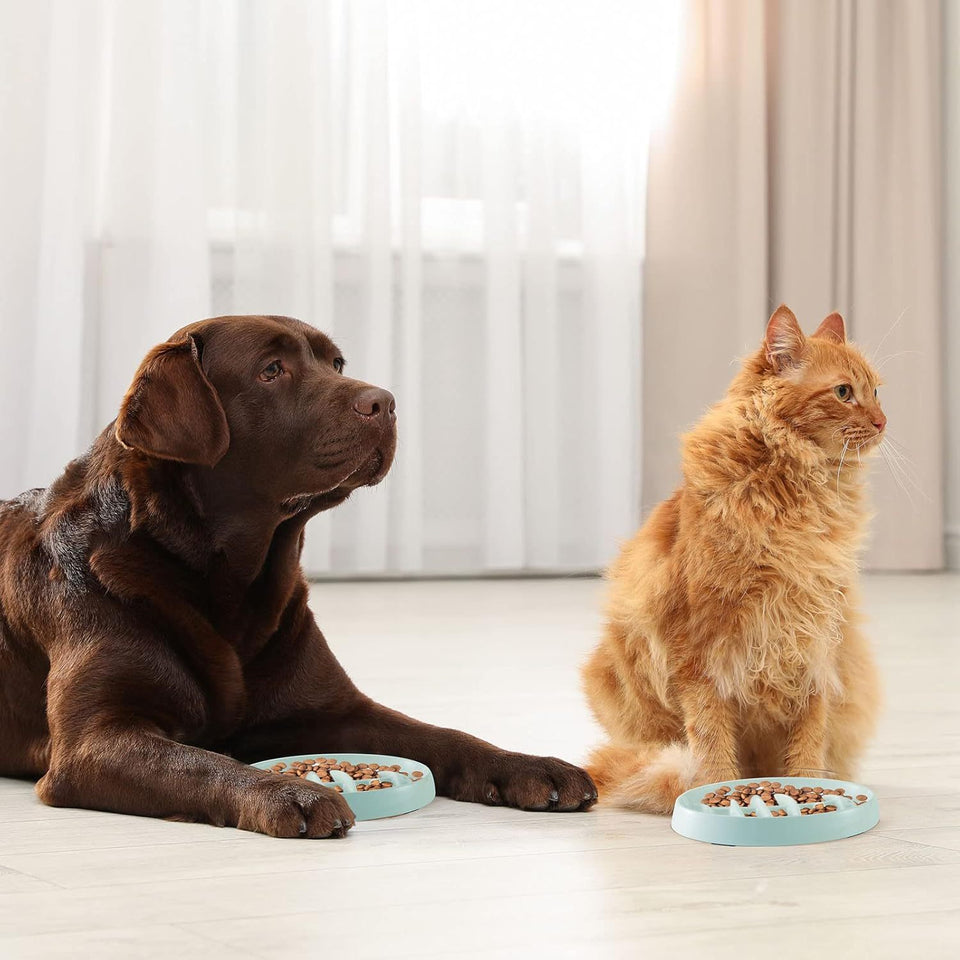 Anti-Gulping Cat & Dog Bowl – Slow Eating Made Fun