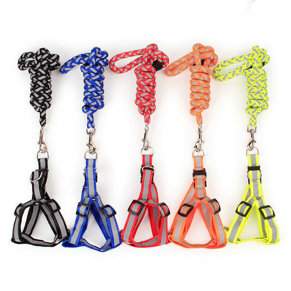 Chew-Proof Dog Leashes for Strong Pullers