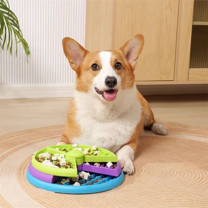 Best Slow Feeder Bowls for Large Dogs