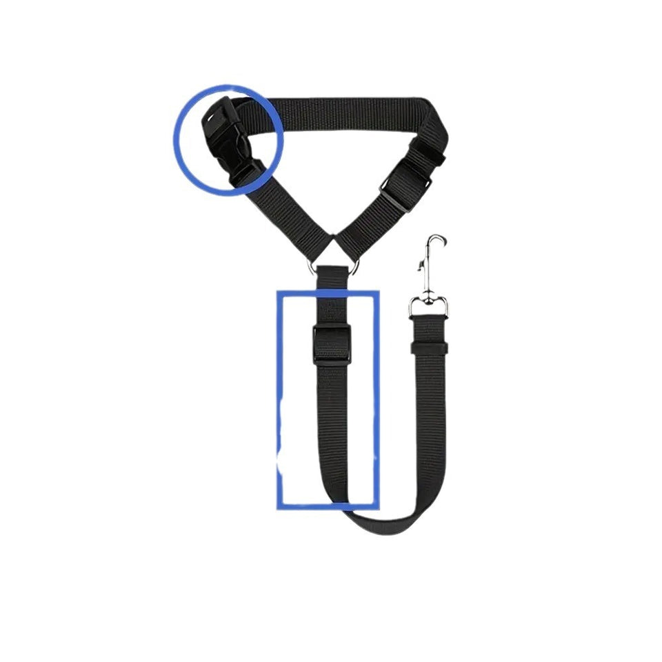 Two-in-One Pet Seat Belt & Leash – Secure Rides