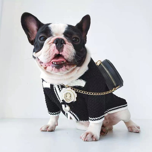 Adorable Pomeranian & Schnauzer Cardigan – Spring Pet Outfit