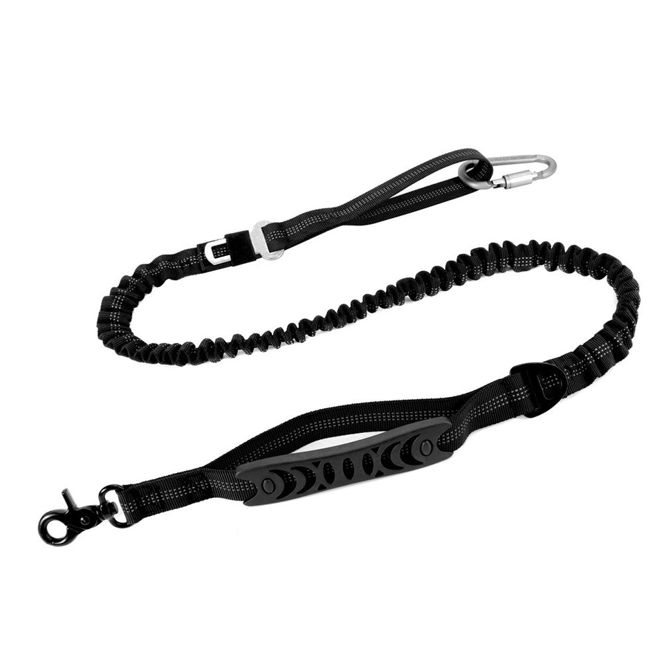 Strong Bungee Dog Leash for Large and Medium Dogs