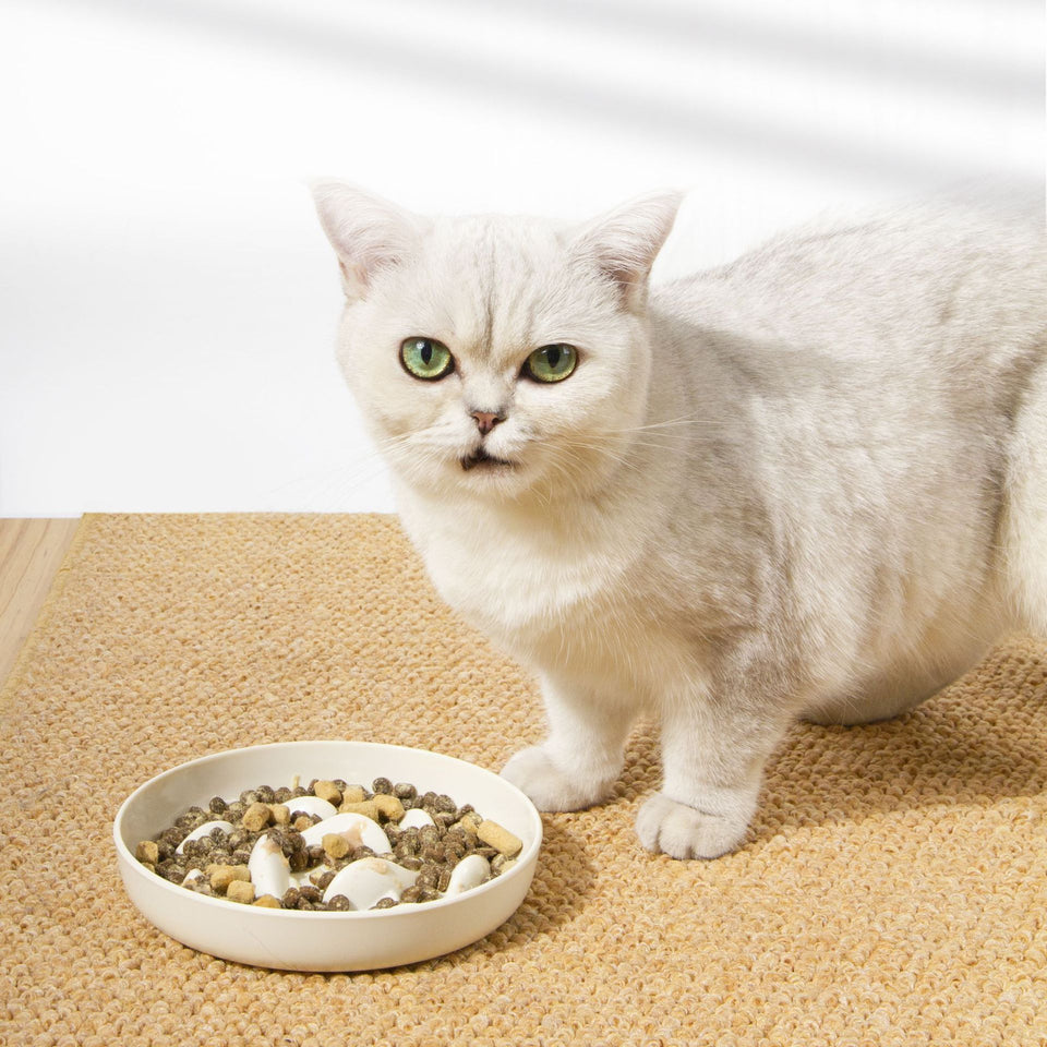 Dogs & Cats Slow Eating Bowl – Easy Feed