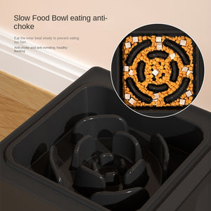 Elevated Dog Bowls – Comfortable, Hands-Free Feeding for Pets