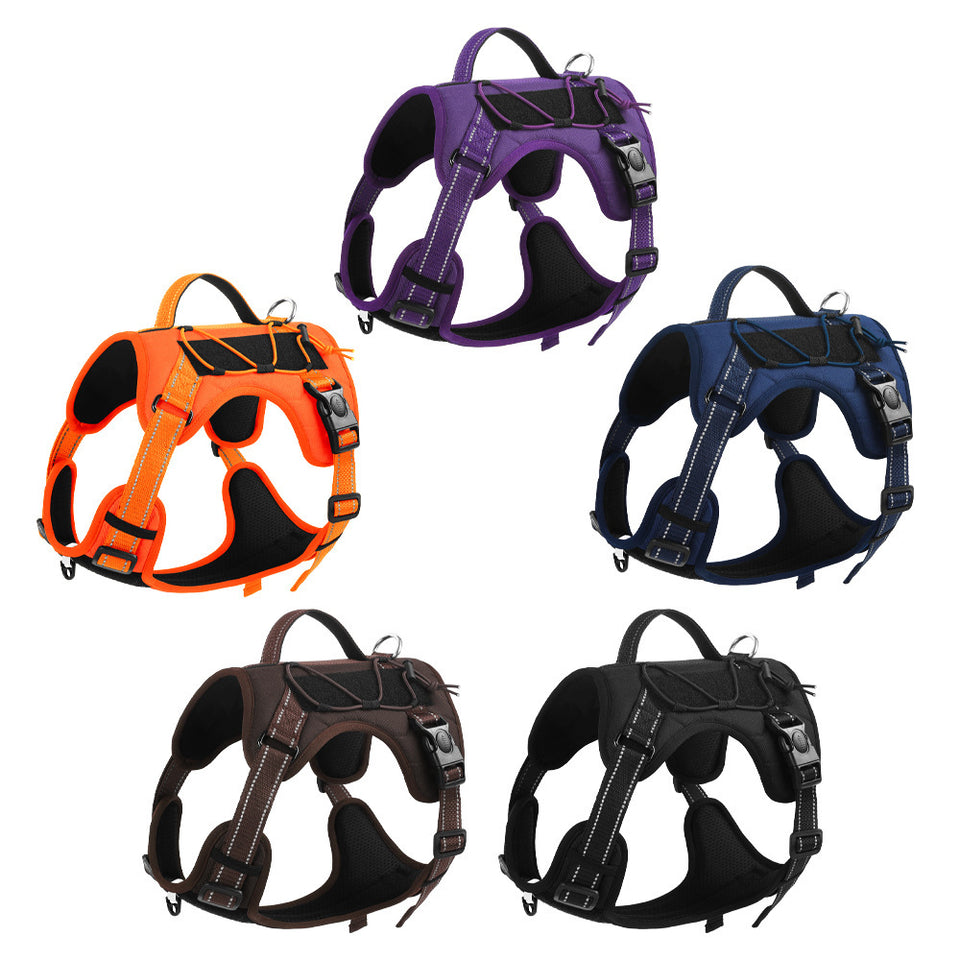 Reflective Dog Harness with Strong Leash for Safe Walks