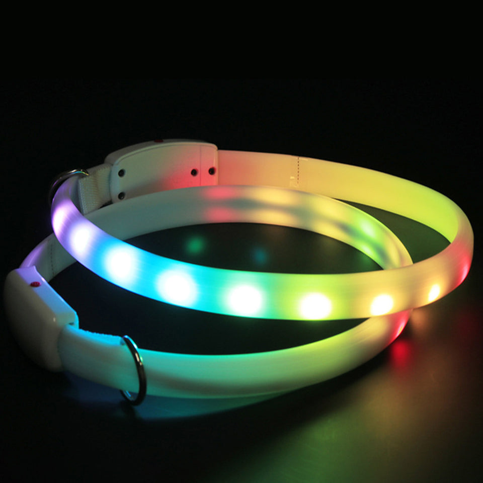 Flashing LED Pet Collar – Keep Pets Safe Outdoors