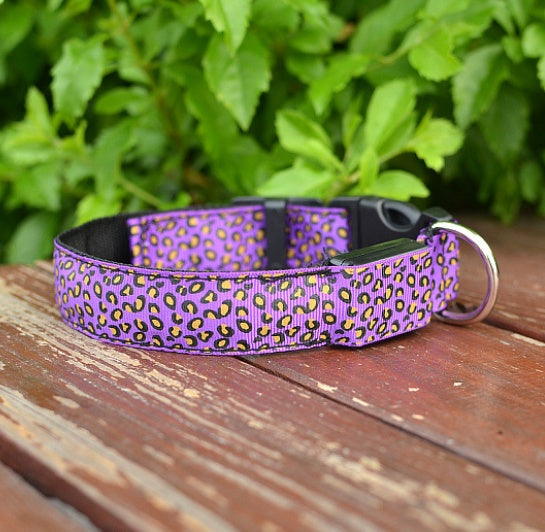 Adjustable LED Dog Collar – Bright and Fashionable