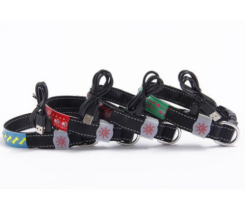 BrightTail LED Collar – Be Seen, Stay Safe