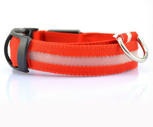 LED Safety Collar for Dogs – Stay Visible