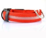 LED Safety Collar for Dogs – Stay Visible