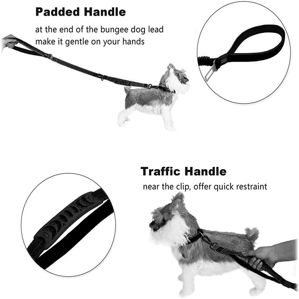 Strong Bungee Dog Leash for Large and Medium Dogs