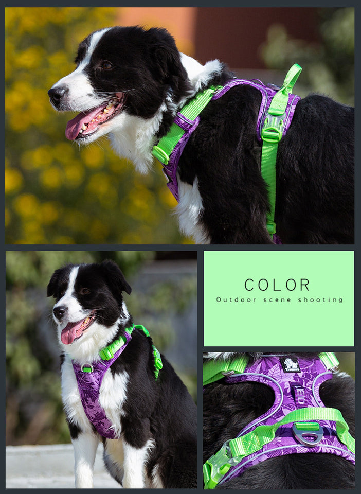 Durable Dog Leash and Vest Combo for Safe Walks