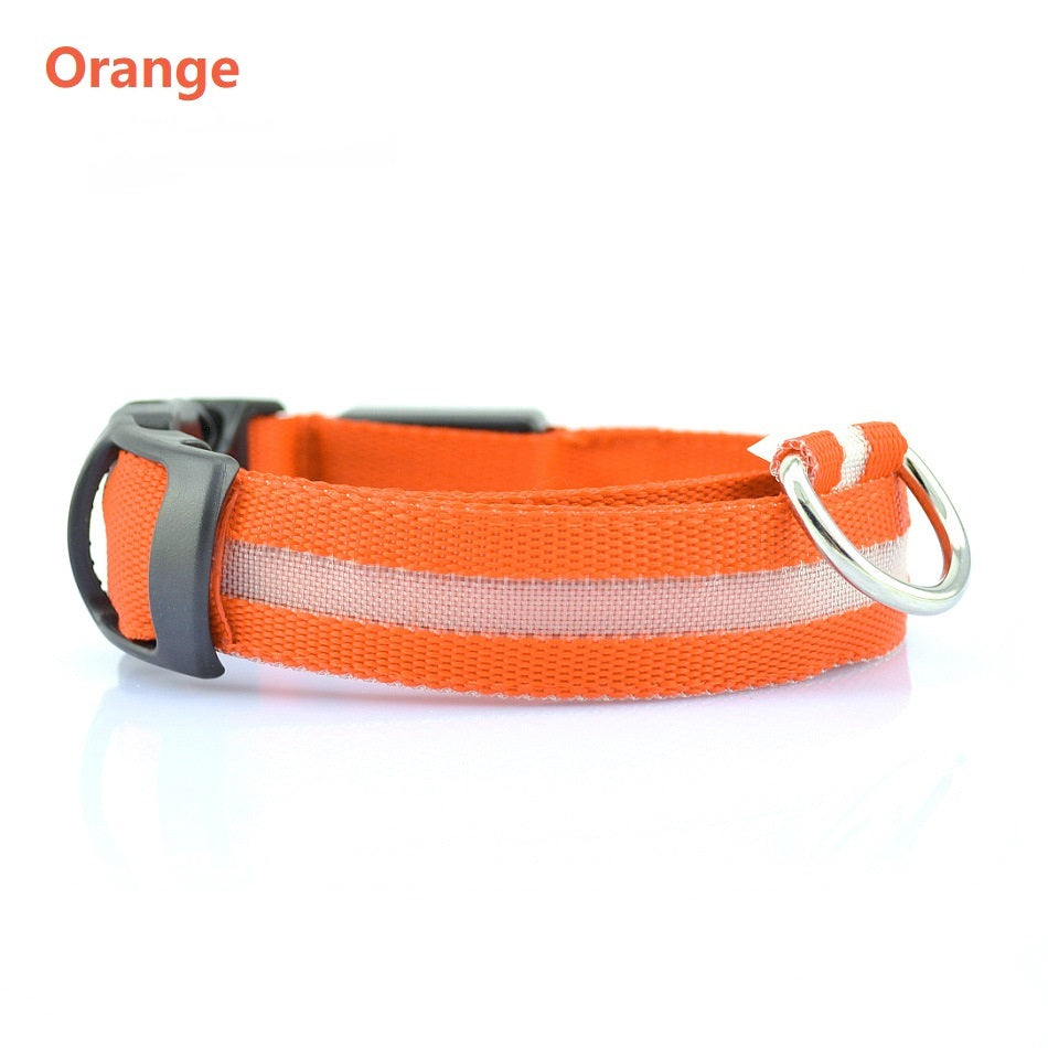 GlowSafe LED Dog Collar – Night Walks Made Bright