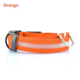 GlowSafe LED Dog Collar – Night Walks Made Bright