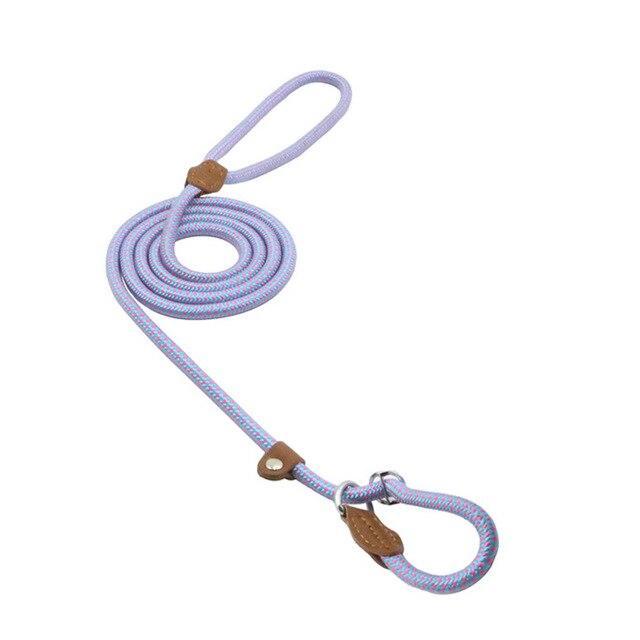 Strong P-Type Dog Collar with Reliable Leash