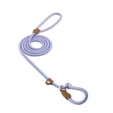 Strong P-Type Dog Collar with Reliable Leash