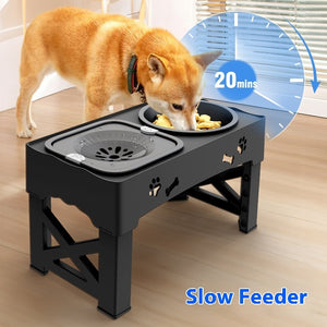 Happy Paws Double Bowl – Raised Stainless Steel Feeder
