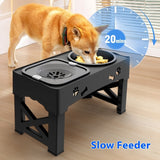 Happy Paws Double Bowl – Raised Stainless Steel Feeder