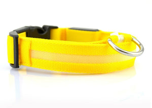 LED Safety Collar for Dogs – Stay Visible