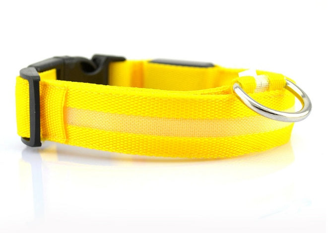 LED Safety Collar for Dogs – Stay Visible