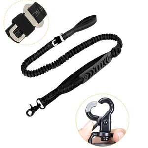 Strong Bungee Dog Leash for Large and Medium Dogs