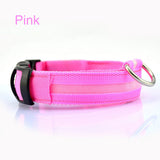 GlowSafe LED Dog Collar – Night Walks Made Bright