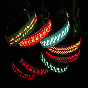 BrightTail LED Collar – Be Seen, Stay Safe
