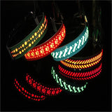 BrightTail LED Collar – Be Seen, Stay Safe