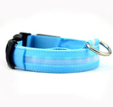 LED Safety Collar for Dogs – Stay Visible