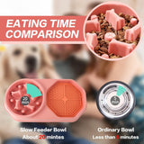 Healthy Slow Feeder Bowl – Prevents Gulping & Choking