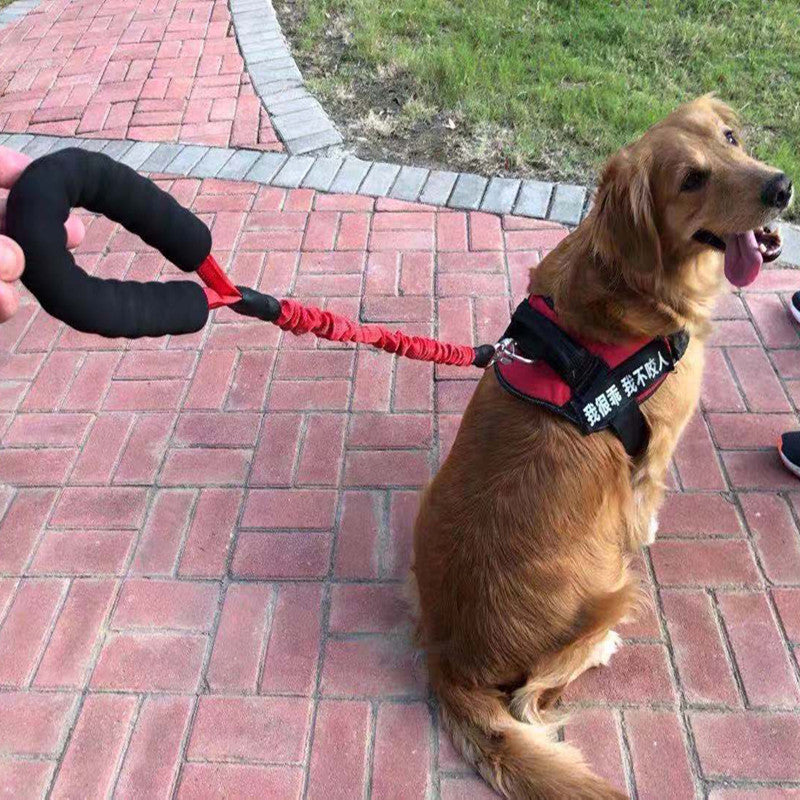 Durable Explosion-Proof Leash for Active Dogs