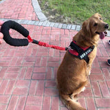 Durable Explosion-Proof Leash for Active Dogs