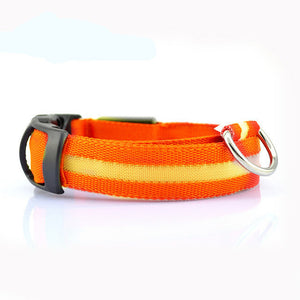 LED Safety Collar for Dogs – Stay Visible