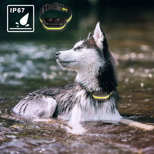 Gentle Trainer Collar – Peaceful Solution for Barking Dogs
