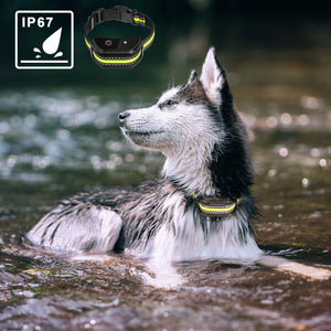 Gentle Trainer Collar – Peaceful Solution for Barking Dogs