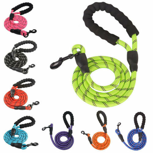 Tangle-Free Reflective Leash Built for Pulling Pups