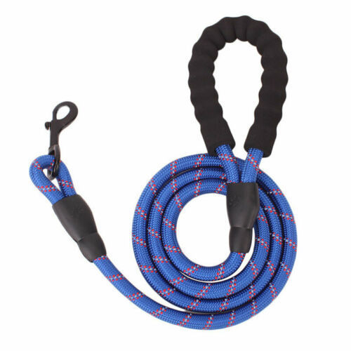 Tangle-Free Reflective Leash Built for Pulling Pups