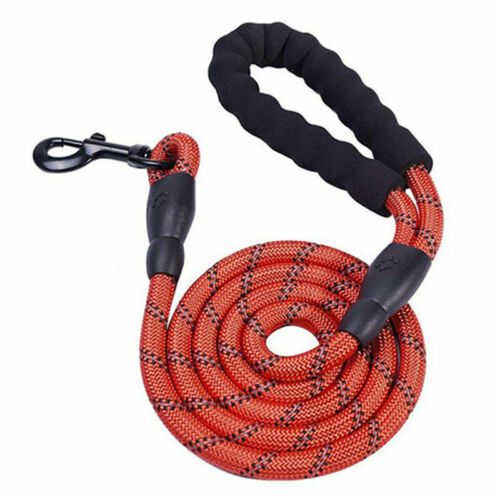 Tangle-Free Reflective Leash Built for Pulling Pups