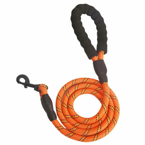 Tangle-Free Reflective Leash Built for Pulling Pups