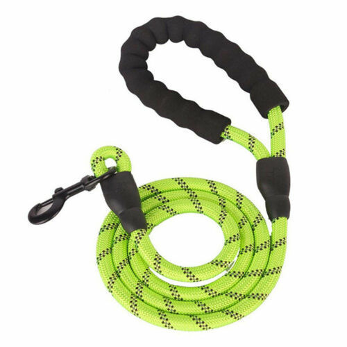 Tangle-Free Reflective Leash Built for Pulling Pups