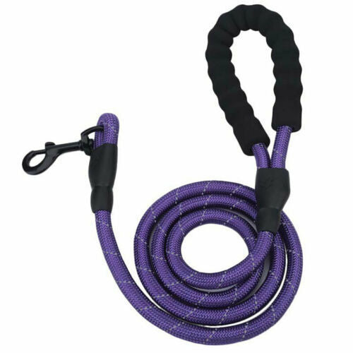 Tangle-Free Reflective Leash Built for Pulling Pups