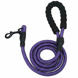 Tangle-Free Reflective Leash Built for Pulling Pups
