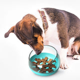 Space Capsule Pet Bowl – Fun Slow Feeder for Dogs & Cats