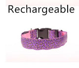Adjustable LED Dog Collar – Bright and Fashionable