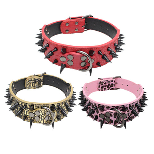 ToughPup Collar – Built to Last, Bite-Proof Design