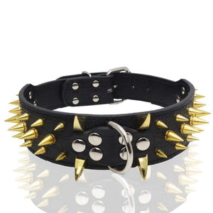 ToughPup Collar – Built to Last, Bite-Proof Design