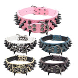 ToughPup Collar – Built to Last, Bite-Proof Design