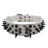 ToughPup Collar – Built to Last, Bite-Proof Design